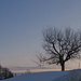 Winterlandschaft.