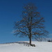 Winterstimmung