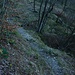 Ein gut begehbares Weglein leitet zum Einstieg des Klettersteiges. Das Weglein biegt vom markierten Bergwanderweg ab und ist an der Abzweigung mit einer Infotafel markiert.