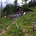 Die Gfellalp