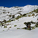Blick zurück zu Simelihorn/Galenhorn und  Mattwaldhorn
