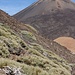 Beim Aufstieg, Blick zum Teide