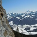 Vertikale Pflanze und die Hohe Salve