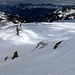 Churfirsten im Hintergrund.