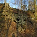 Brüchiger Nagelfluh am Lechhang mit vielen Höhlen