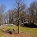 die Ruine Grünenberg weist nur noch wenige Überreste auf; doch diese sind gut gesichert und erschlossen ...