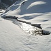 primavera all'alpe Poschiavina