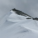Der Gipfel des Gobba di Rollin 3899m