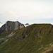 links der Widderfeld 2076m, rechts das Gemsmättli, wo auf der rechten Seite (nördlich) die Steinböcke leben