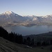 Morgenstimmung am Thunersee