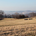 Unterwegs zwischen Vaňovská skála und Milenci - Blick über einen Teil der Hochfläche am Vaňovská skála. Im Hintergrund ist Ústí nad Labem zu sehen.