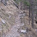 Der steile aber wirklich schöne Steig zum Vorderen Ochsenberg