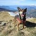 Suni,oggi in vetta al Monte Gradiccioli!