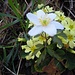 la primavera è sbocciata!