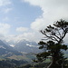 Mediterran angehauchter Blick in den Alpstein