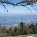 Tiefblick zum Zürichsee