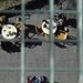 Tiefblick auf dem Skywalk