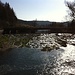 " An der jungen Donau "
