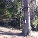 Gipfelfoto Himmelberg ( 941m )