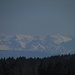 Von einem Hügel in der Nähe des Sees kann man die Berge sehen, hier z. B. das Karwendel.     