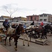 in Büyükada angelangt, streben wir dem "Dorfplatz" zu, welcher voll Pferdekutschen ist, die Hunderte von (türkischen) Touristen auf eine kurze Inselrundfahrt erwarten