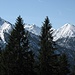 Der Gipfel des Altlacher Hochkopfes ist dicht bewaldet, die Aussicht hinüber zur Soierngruppe daher nur recht mäßig.