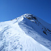 Blick über den Schneegrat zum Vorgipfel und Vorder Tierberg 3091m.
