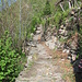 Der alte Talweg
