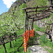 auf dem alten Talweg