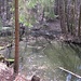 Teich