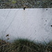 Poco sopra Onunchio, lapide commemorativa di un giovane caduto nel grande rastrellamento del giugno 1944 in Valgrande