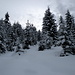 Wintermärchen im April