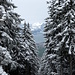 Tiefblick Richtung Brunnen und Vierwaldstättersee