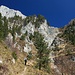 traumhaft schöner Anstieg zum Monte Cimone
