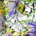 Falschfarben-Satellitenbild der Bernina-Region