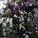 im Orchideenhaus