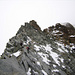 Gleich zu Beginn des Nordwestgrat. Kurz nach dem Zustieg auf den anspruchsvollen Grat zum Gipfel des Monte Disgrazia 3678m.