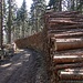 Holzstapel - Der Wald im Ausverkauf