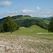 Aussicht vom P.1180m beim Matzendörfer Stierenberg auf die Hohe Winde (1204,4m). Bisher kannte ich den Hügel nur vom Winter her. ( http://www.hikr.org/tour/post1310.html ).