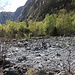 Flussbett des Ri di Boschetto