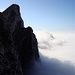 Tomlishorn.