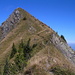 Der Gipfel des Güpfi mit teilweise ausgesetztem Grat
