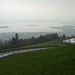 Aussicht auf Zürichsee