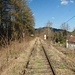 Die bis vor kurzem noch genutzte Bahnlinie durch das Triestingtal wuchert langsam zu.