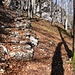 hier mündet die Spur vom Spitzflüeli in den Wanderweg Voremberg - Hällchöpfli ein