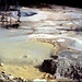 Sulphur Caldron Hot Springs (fango bollente) 
