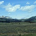 Nel settore nord del Parco Yellowstone