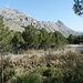 Start beim Parkplatz beim "Embassament de Cuber südlich vom höchsten Berg auf Mallorca. <br />Der Puig Major ist Militärsperrgebiet.