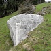 kantonal geschützter Findling (Granit) neben den Nagelfluh-Felsen
