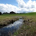 Le plateau sommital du Zugerberg, fait de creux marécageux et de bosses